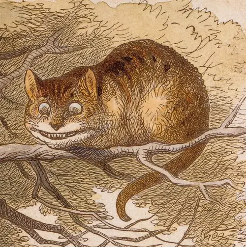 The Cheshire cat